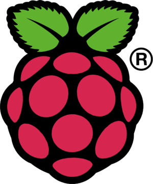 Raspberry Pi ikon