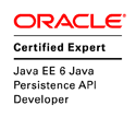 Java Persistence API Developer