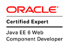 Web Component Developer