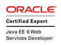 Web Services Developer